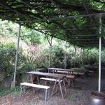 カナイシ - ガーデンテラス席