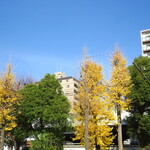 ラーメン二郎 - 今日も二郎日和♪