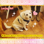 ラビング ハット - 