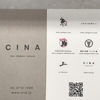 CINA New Modern Chinese - 