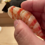 登喜和鮨 - 新発田産車海老