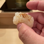 登喜和鮨 - 新潟産アオリイカ