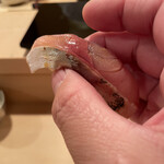 登喜和鮨 - 新潟産定置網鯵