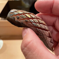 登喜和鮨 新発田本店 - 佐賀産の古肌