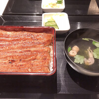 うなぎ 目白ぞろ芽 - 