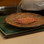登喜和鮨 - 新発田産車海老