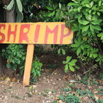 Famous Kahuku Shrimp Truck - 