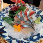 うみまち酒場 さかなさま 浜松町店 - 