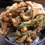 居喰処 光 - 2020/12/15
      本日の日替り かき揚丼 500円