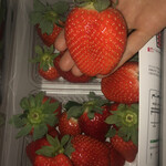 姫路ハートフル観光農園 - 