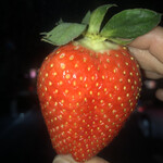 姫路ハートフル観光農園 - 