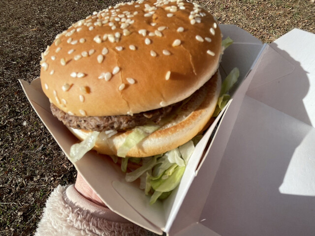 マクドナルド 289新白河店 - 新白河（ハンバーガー）の写真