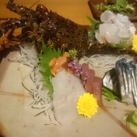 眞か SHINKA - 