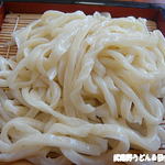 手打ちうどん さわいち - 2012年8月　うどん