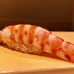 鮨 はしもと - 2020.11.  車海老