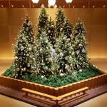 中国料理 桃花林 - 