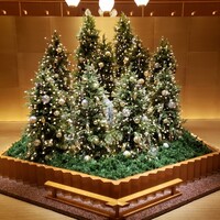 中国料理 桃花林 -  中国料理 桃花林 -