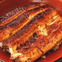 吉寅 - 