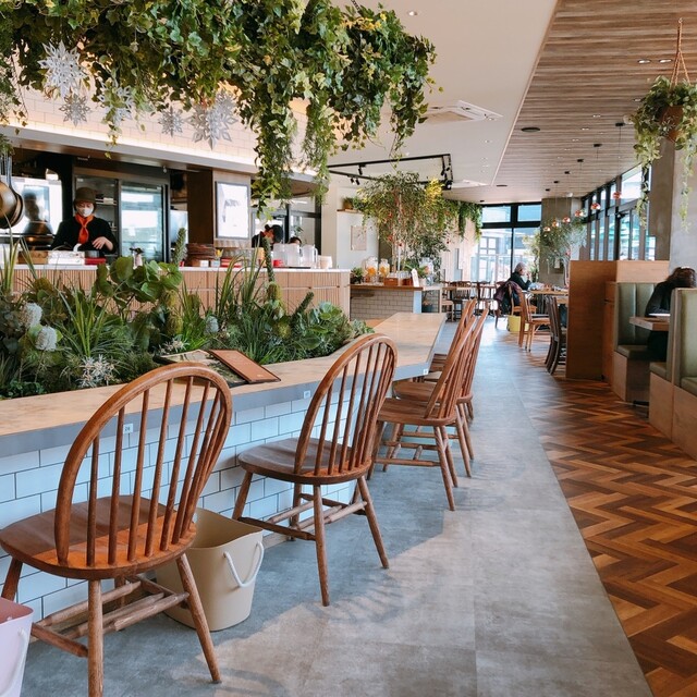 閉店】森のサーカス cafe ＆ family restaurant - 野田（阪神