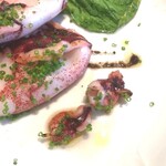 La Brianza - 小さなヒイカみーつけた！かわいいかわいい♡でも食べちゃう(笑)