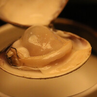 桑名蛤料理・蛤しゃぶしゃぶ 貝新 - 