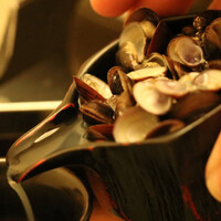 桑名蛤料理・蛤しゃぶしゃぶ 貝新 - 