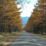 八ヶ岳高原ロッジ - ホテルまでの道