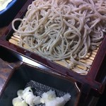 山法師 - 