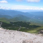 山法師 - 