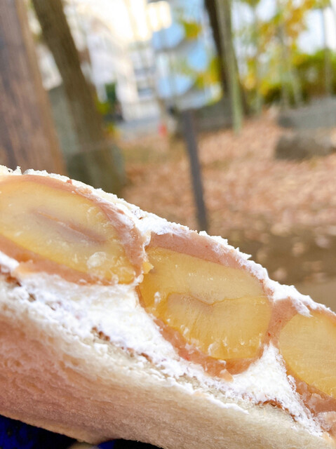 ブーランジェリー テラ Boulangerie Tera 洗足 パン 食べログ ブーランジェリー テラ Boulangerie Tera 洗足 パン 食べログ