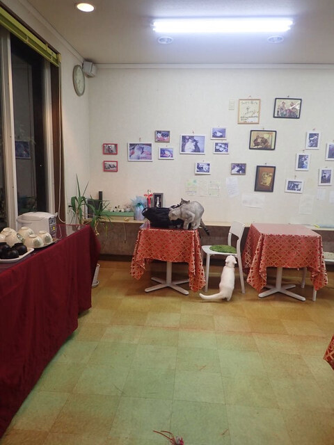 タマホテル（TAMA HOTEL） - 陸前山下（ホテル）の写真