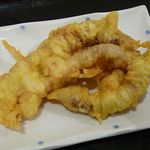 本格さぬきうどん　穂乃香 - げそ天 120円