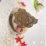 ジョンティ アッシュ - 