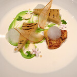 ジョンティ アッシュ - 