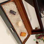 ジョンティ アッシュ - 