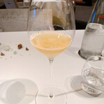 ジョンティ アッシュ - 