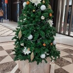 ショコラティエ パレ ド オール - 新丸ビルのクリスマスツリー