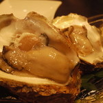 飯豊 - 岩牡蠣