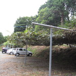 駐車場の屋根にはキュウイが！