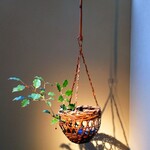 あさば - 花あしらい