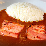 BLUE TURTLE RESORT - 