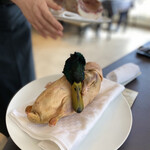 プレゼンテ スギ - マガモ