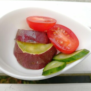 フレンチ ブルドッグ_0