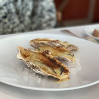 Benoit Alain Ducasse - 