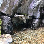 インシグニア - 岸壁のどこかに隠れた洞窟が・・・