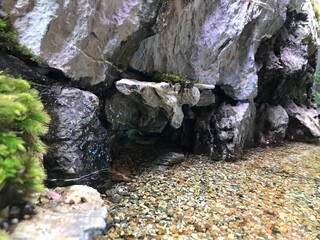 INSIGNIA - 岸壁のどこかに隠れた洞窟が・・・