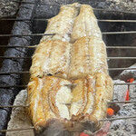 旬ものと日本酒 とみ笑 - 山口の半天然鰻