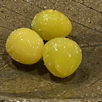 お座敷 天婦良 あやめ - 