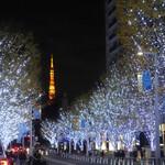 旬采 - 東京タワー on Dec.11,2020