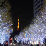 旬采 - けやき坂：冬の風物詩